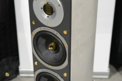 Audiovector - SR3 Avantgarde Arrete RAW Surface Limited Edition Speakers
