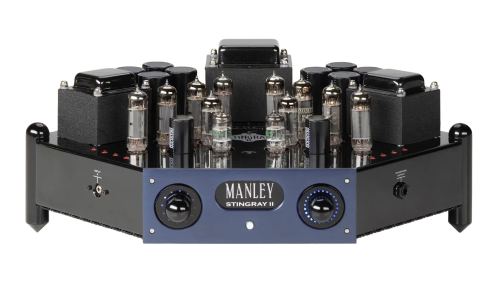 manley stingray2